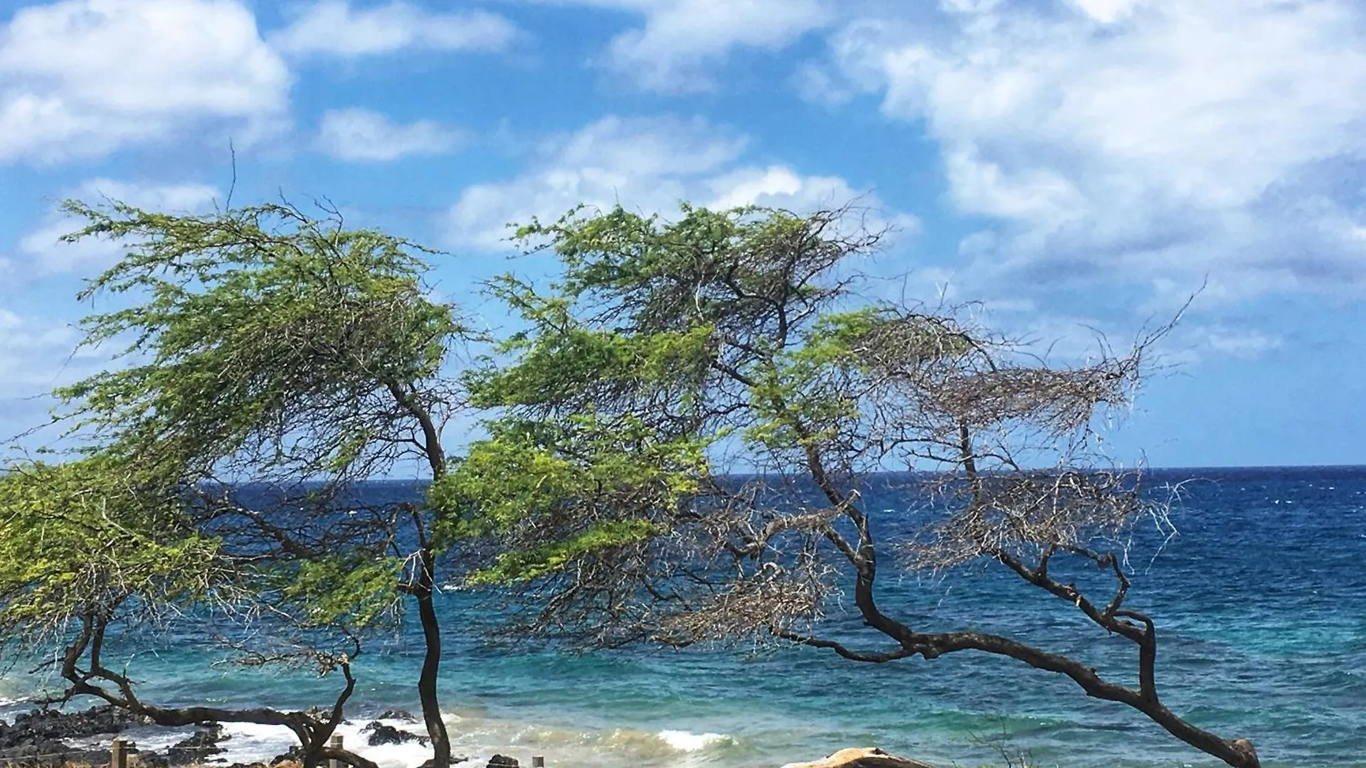 Kamaole Sands 9-309 - Mch Wailea